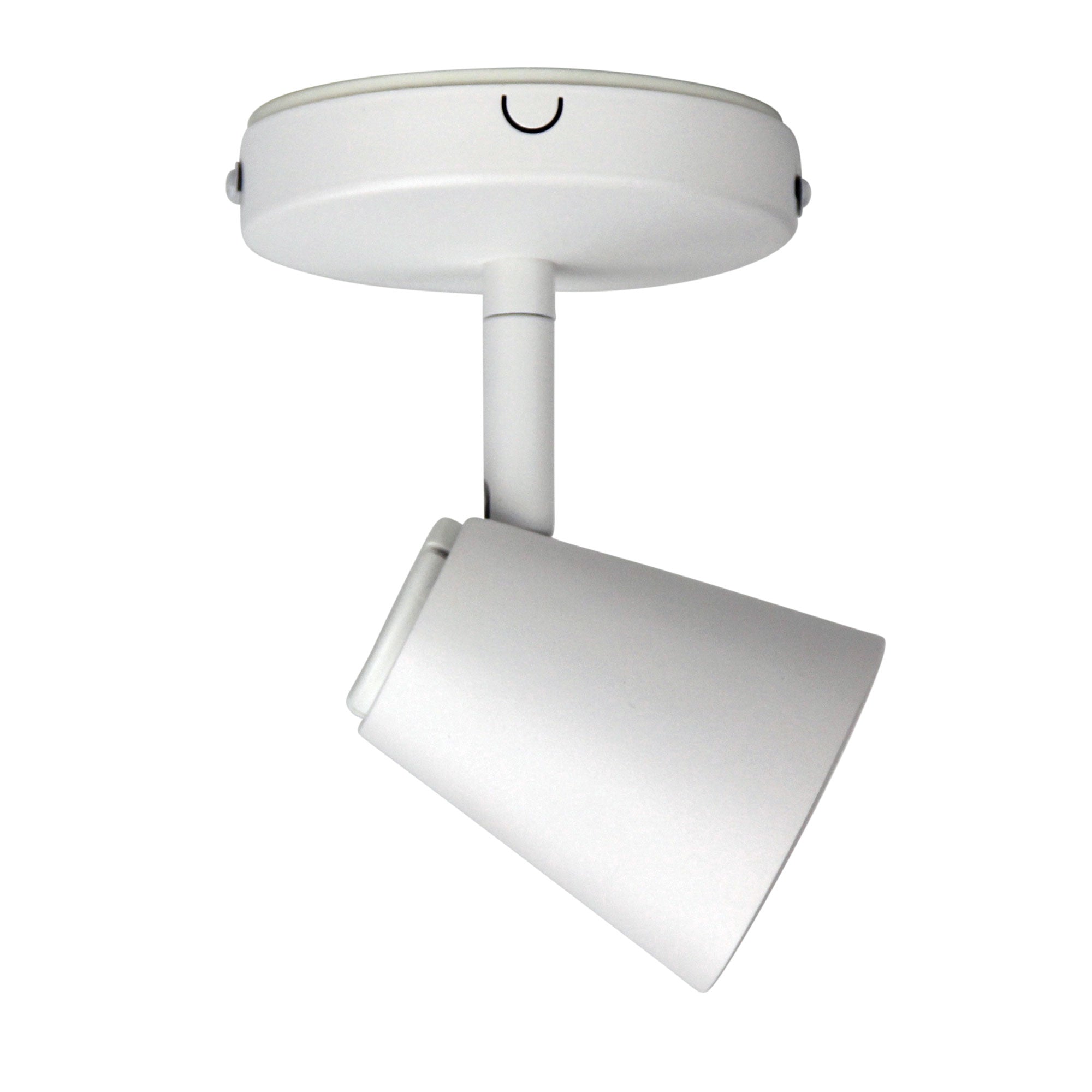 Zoom 1 Light LED Ready GU10 Adjustable Spotlight