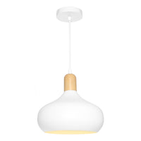 Thumbnail for Sloan 1 Light Pendant White