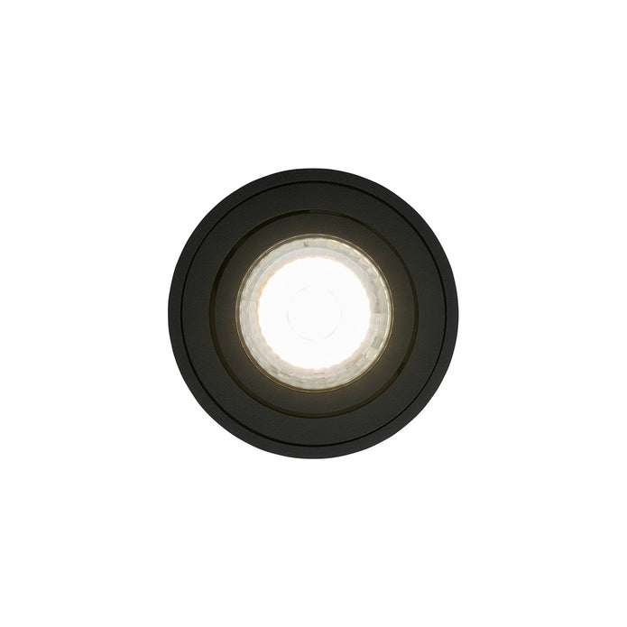 Sabonis Surface Built-In Light