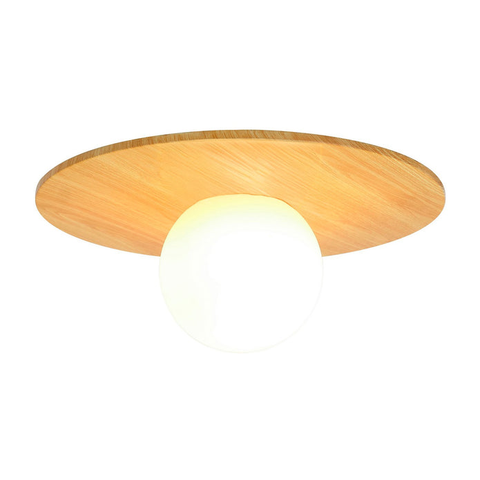 Siona Ceiling Light