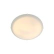 Standard 38 Minimalist Ceiling Light White