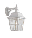 Trenero: Exterior Surface Mounted Coach Wall Lights IP44