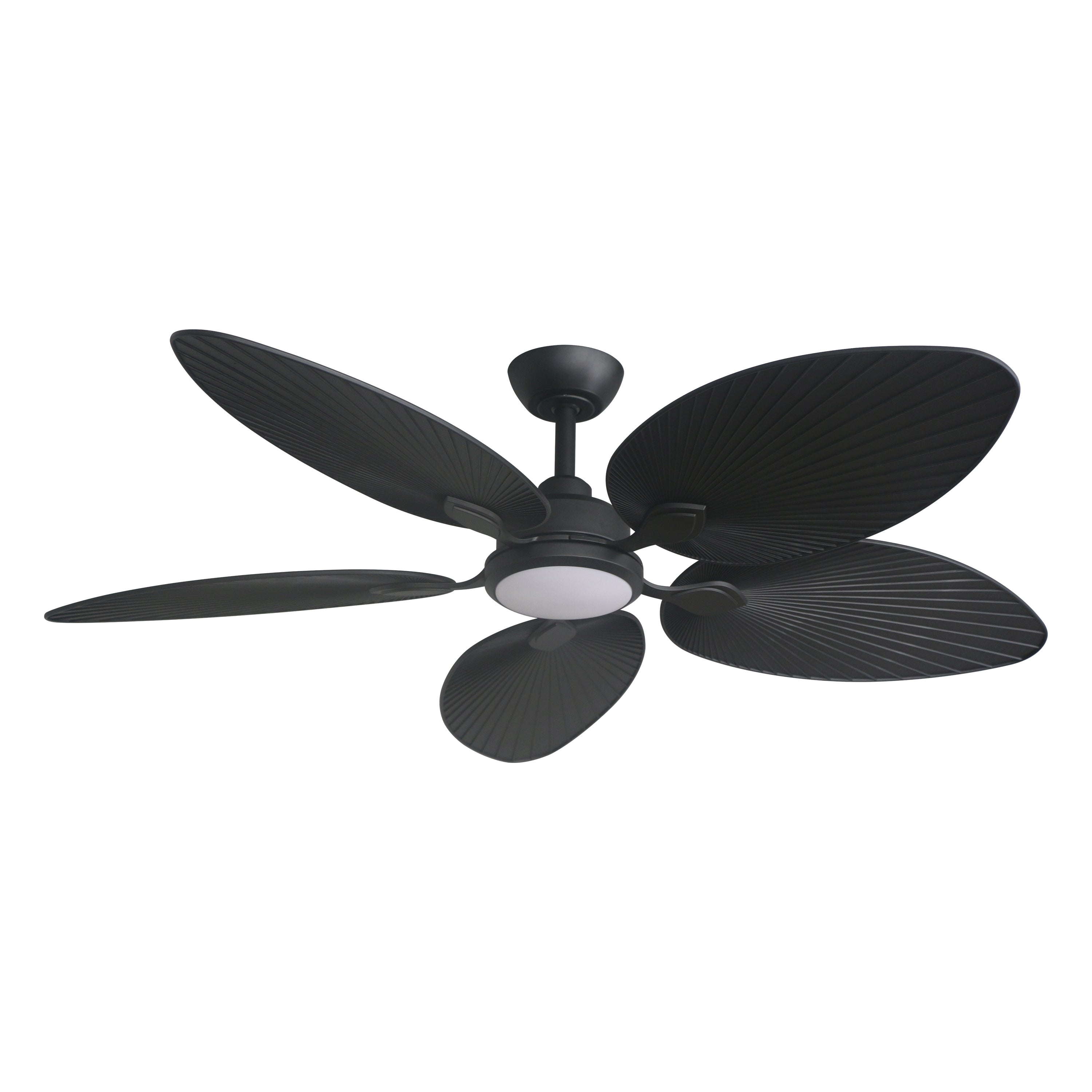 Three Sixty Tropicana DC Ceiling Fan 56" (142cm)