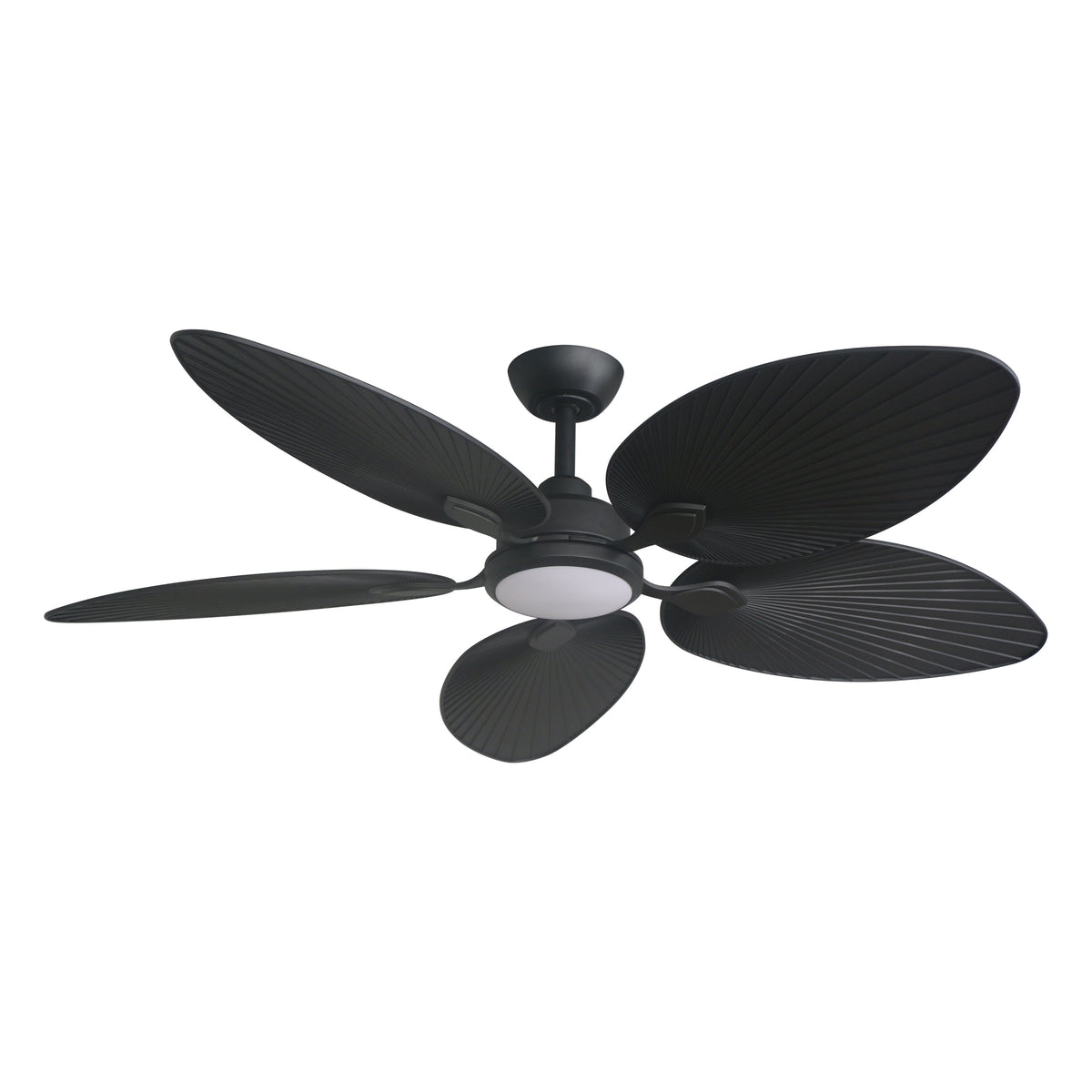 Three Sixty Tropicana DC Ceiling Fan 56
