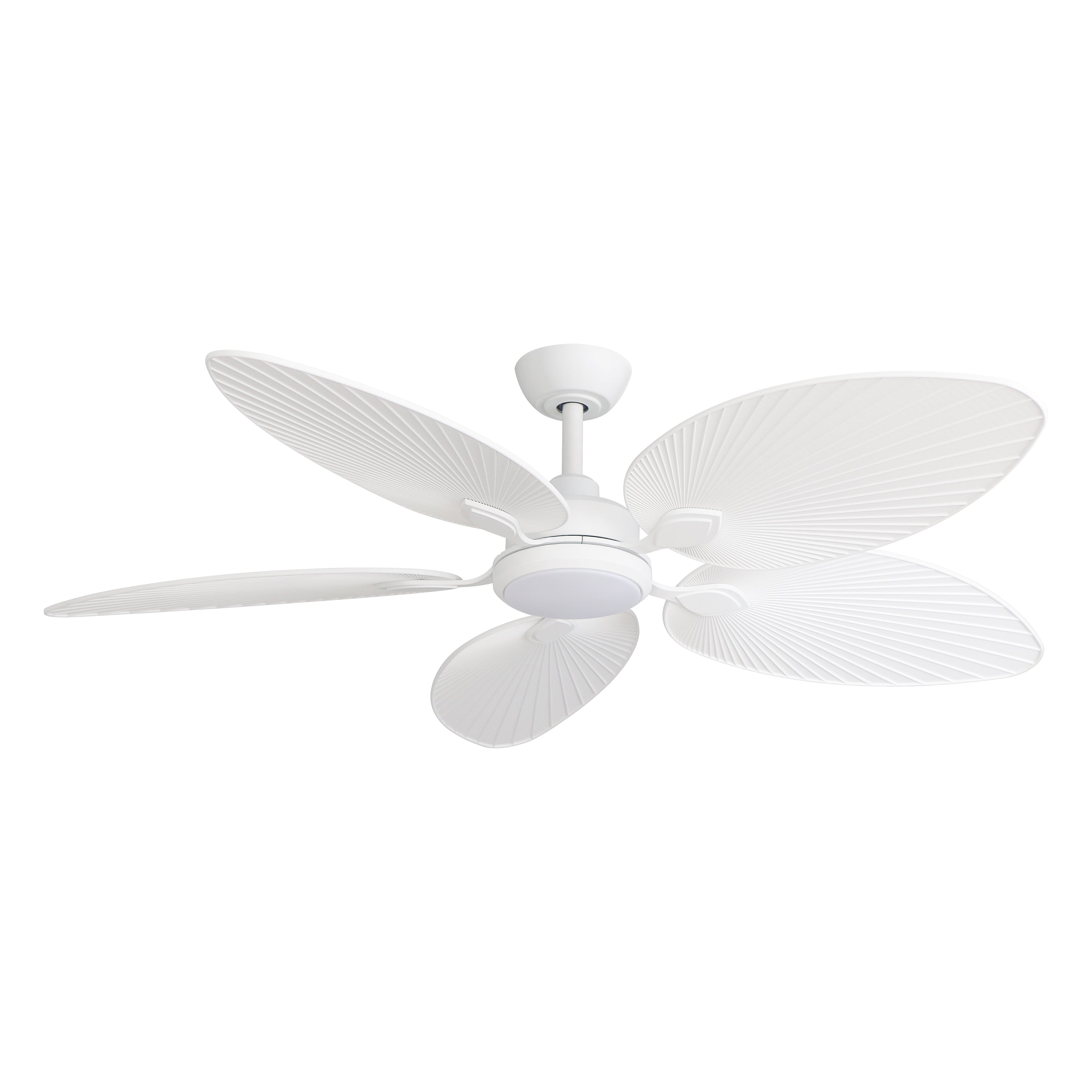 Three Sixty Tropicana DC Ceiling Fan 56" (142cm)