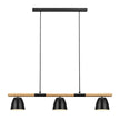Theo 3-Pendant Pendant Light Black