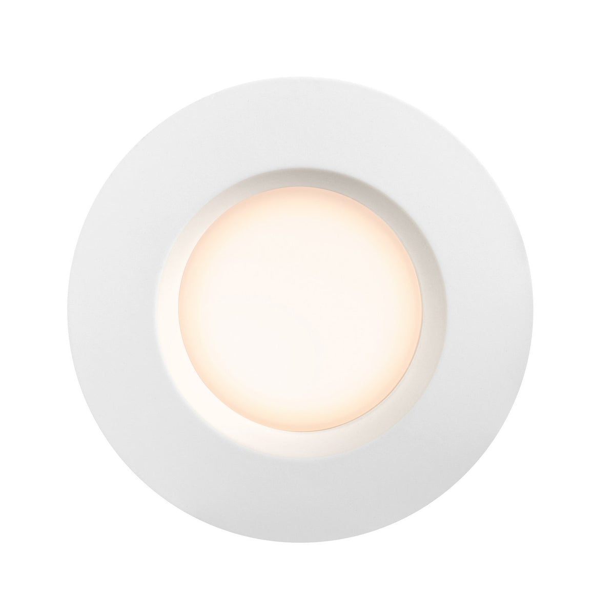 Tiaki 2700/ Moodmaker White LED Downlight