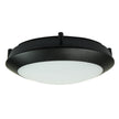 Duro 20 Black 7W IP66 Double Insulated Bulkhead
