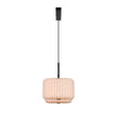 Vivienne Dual Pendant Light Black