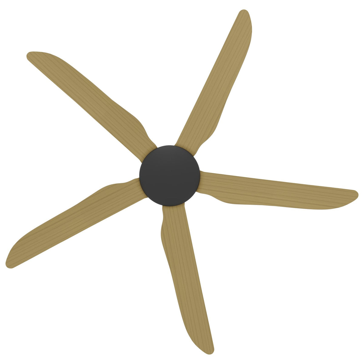 Calibo Storm 56