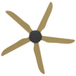 Calibo Storm 56
