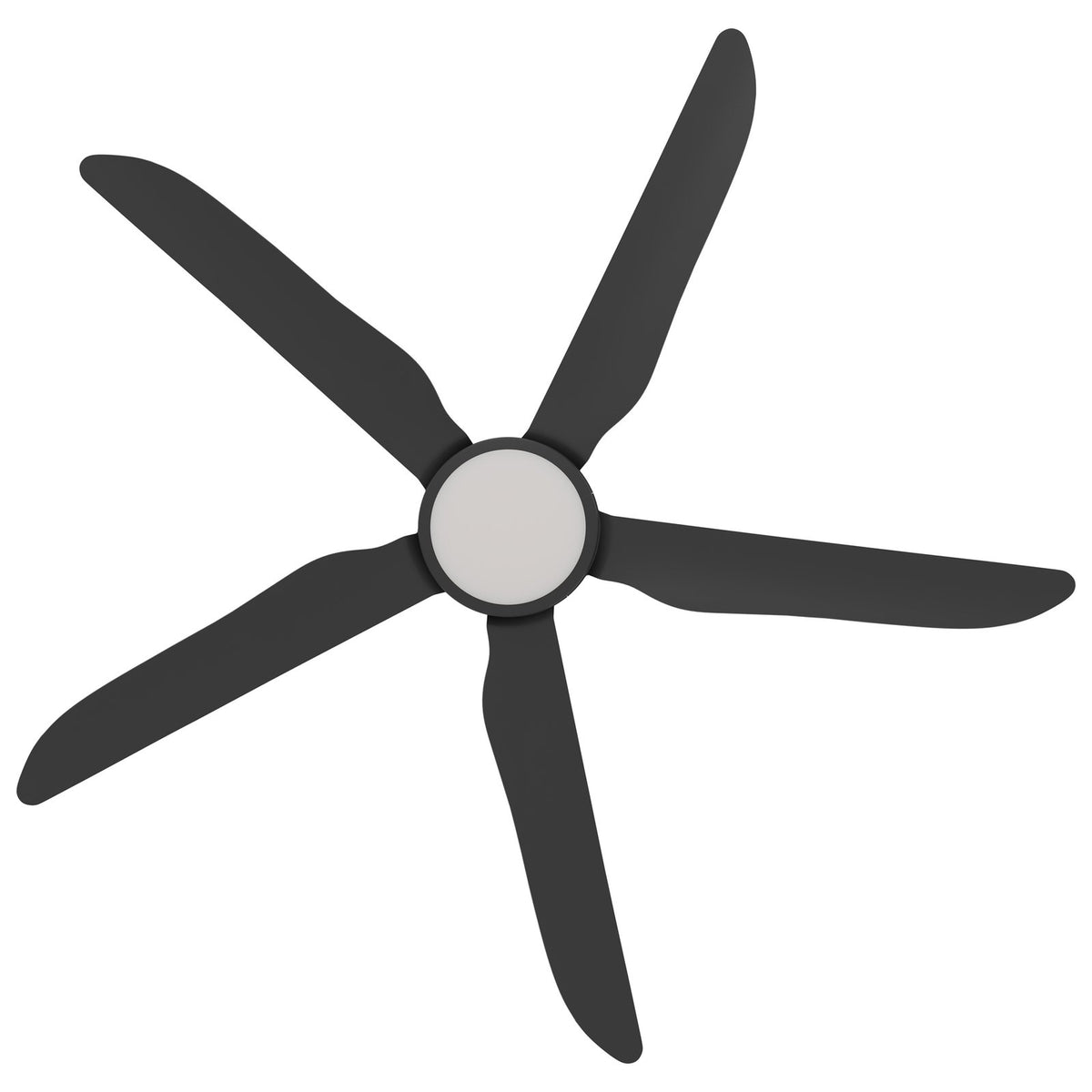 Calibo Storm 56