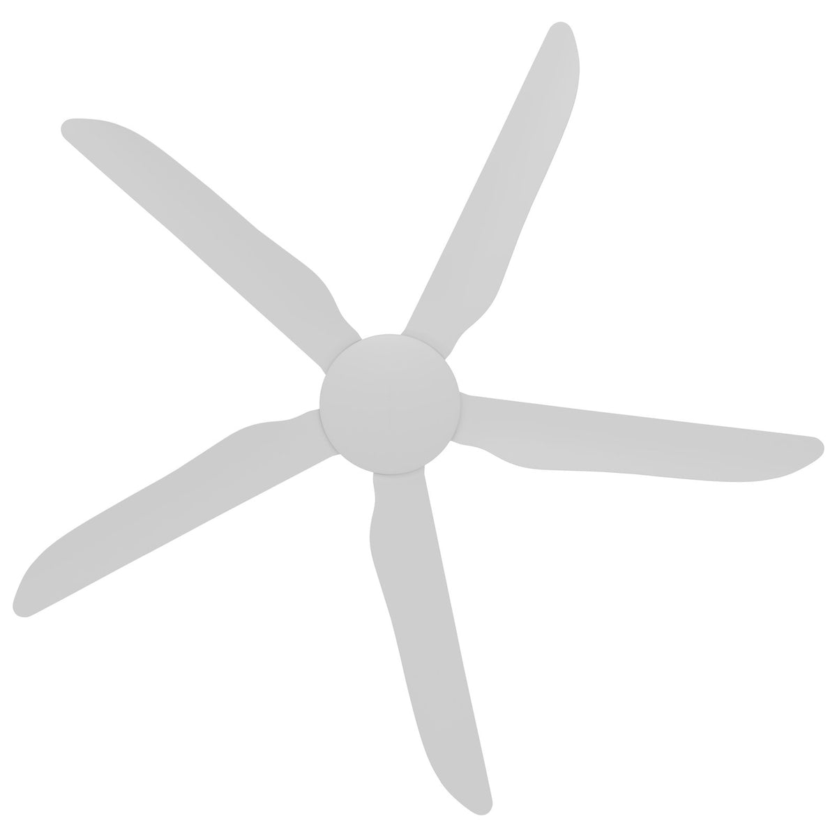 Calibo Storm 56