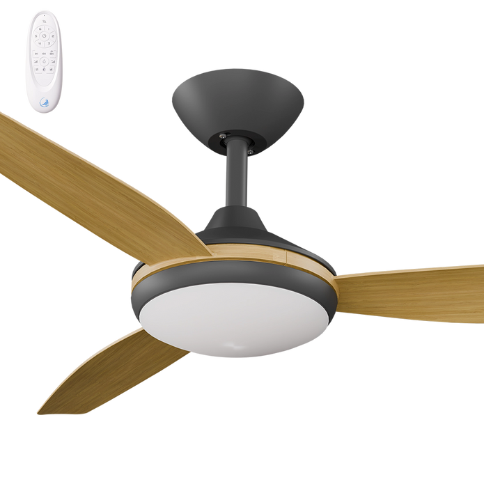 Calibo Condor 48