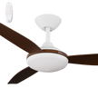 Calibo Condor 48