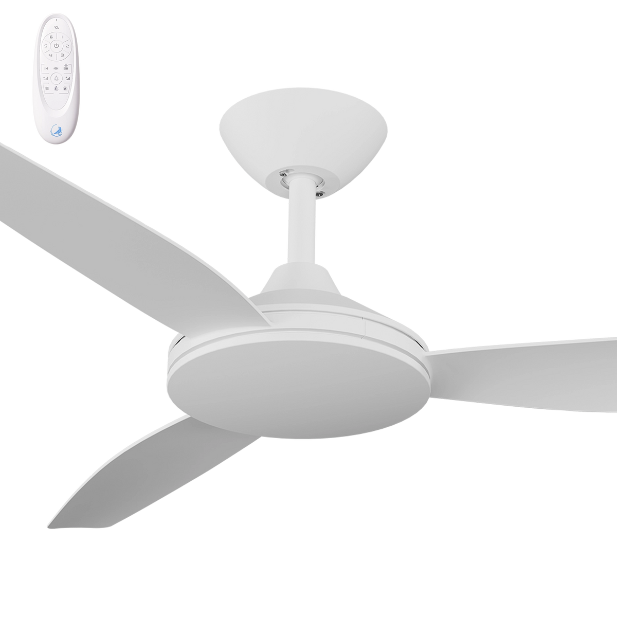 Calibo Condor 48