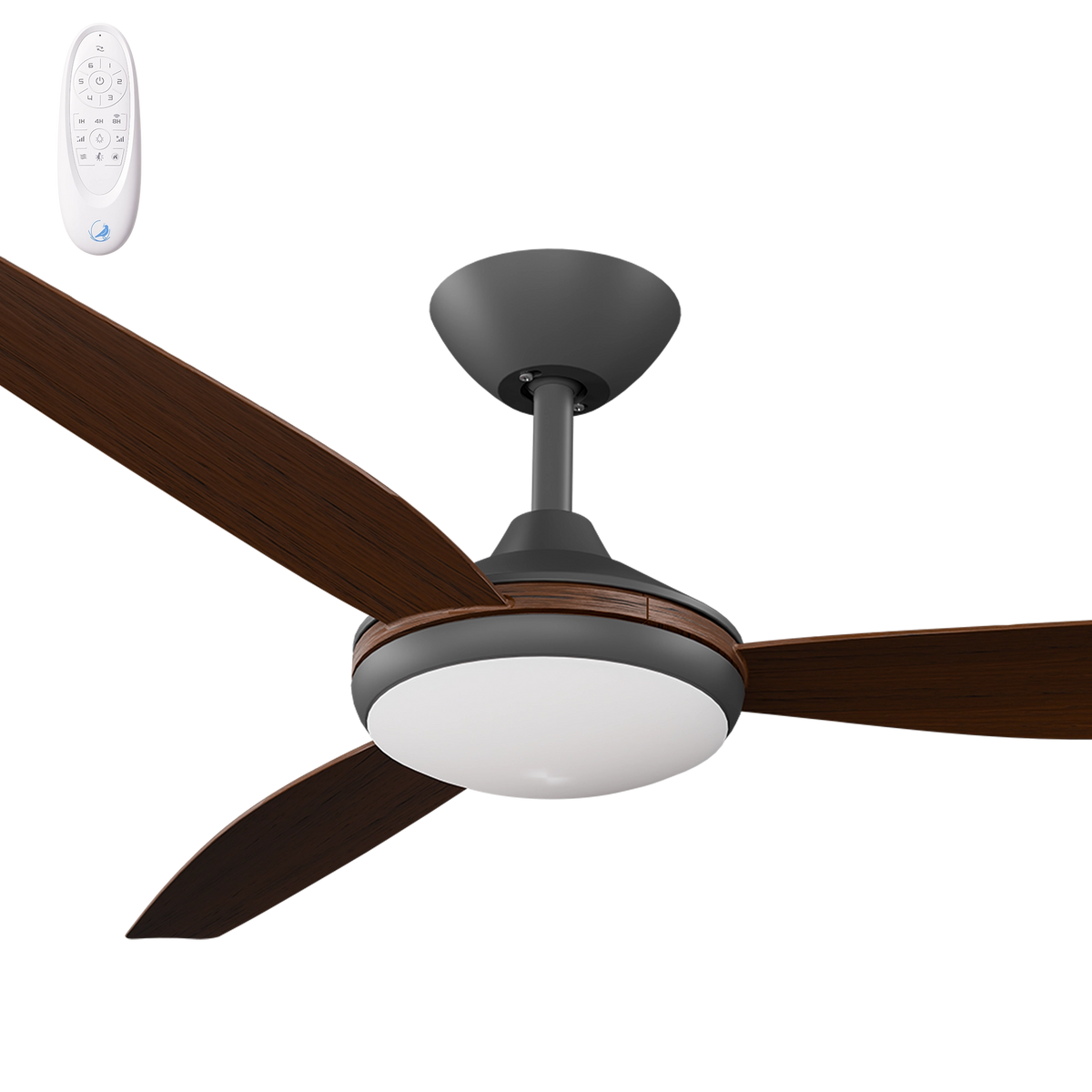 Calibo Condor 56