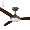 Calibo Condor 56