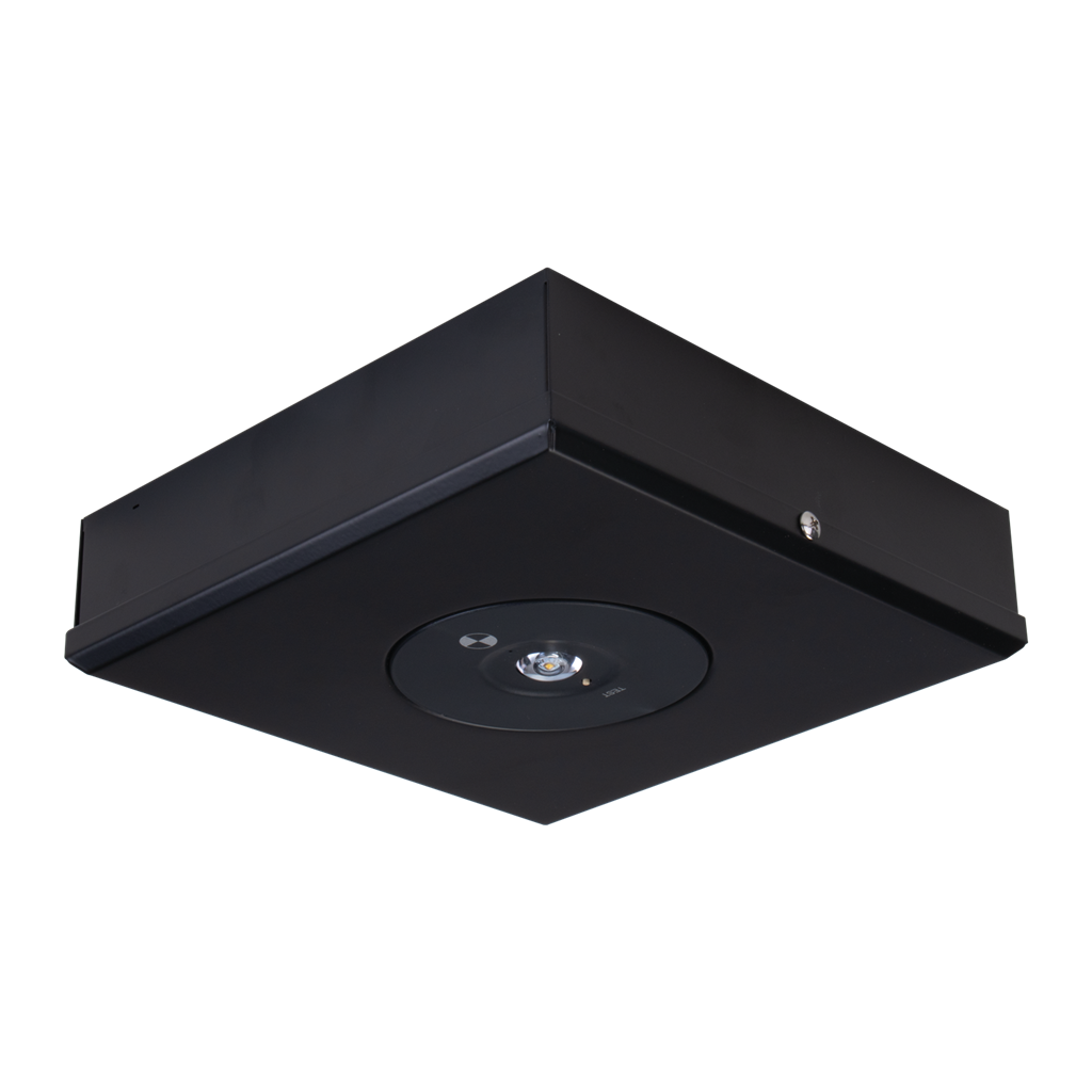 3.5W S/M LED Emergency Light Non-Main D63 Class