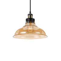 Thumbnail for Hertel 200mm 1 Light Pendant in Black Amber