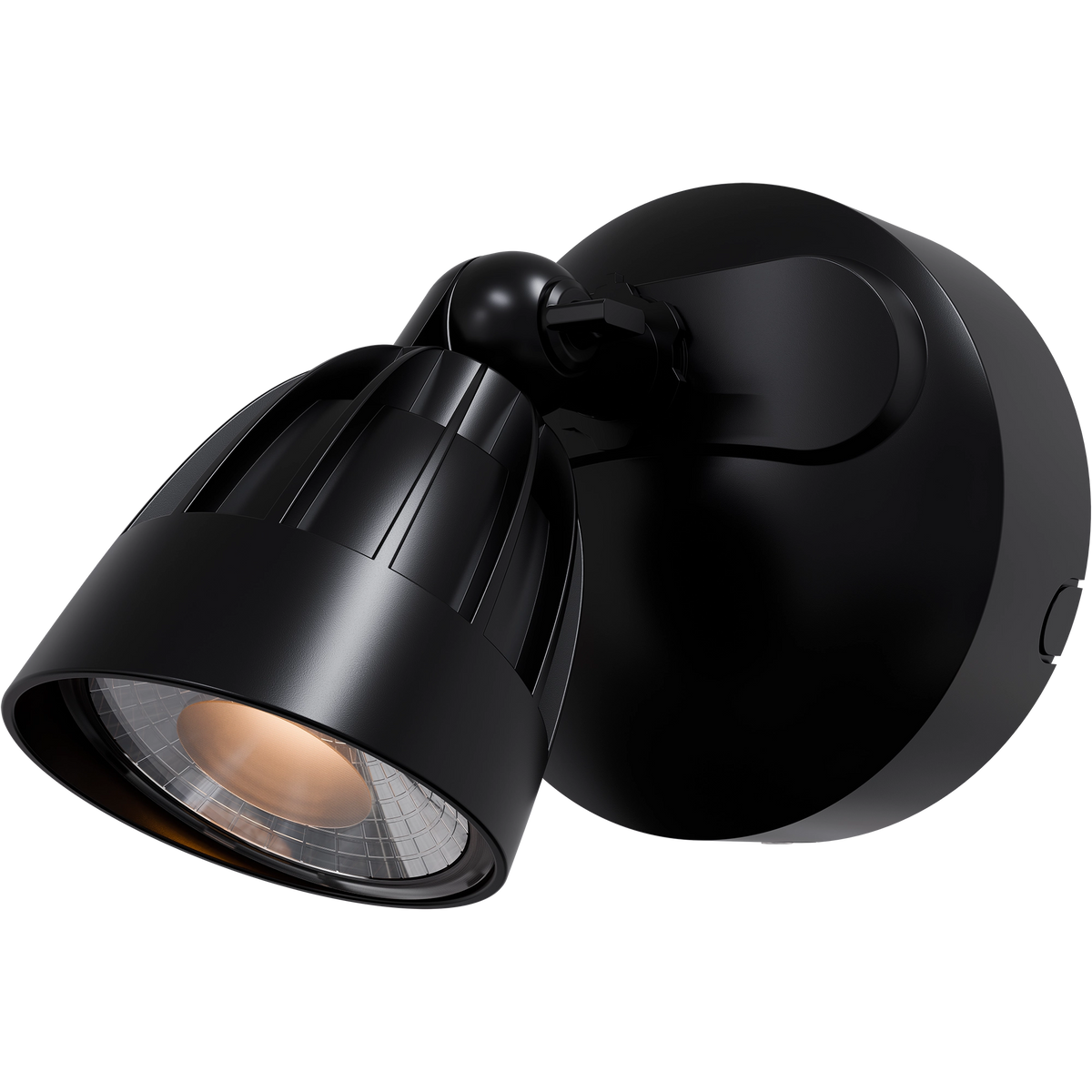 Nighthawk 1 Light Exterior Spotlight 15W TRI Colour Black IP65