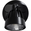 Nighthawk 1 Light Exterior Spotlight 15W TRI Colour Black IP65