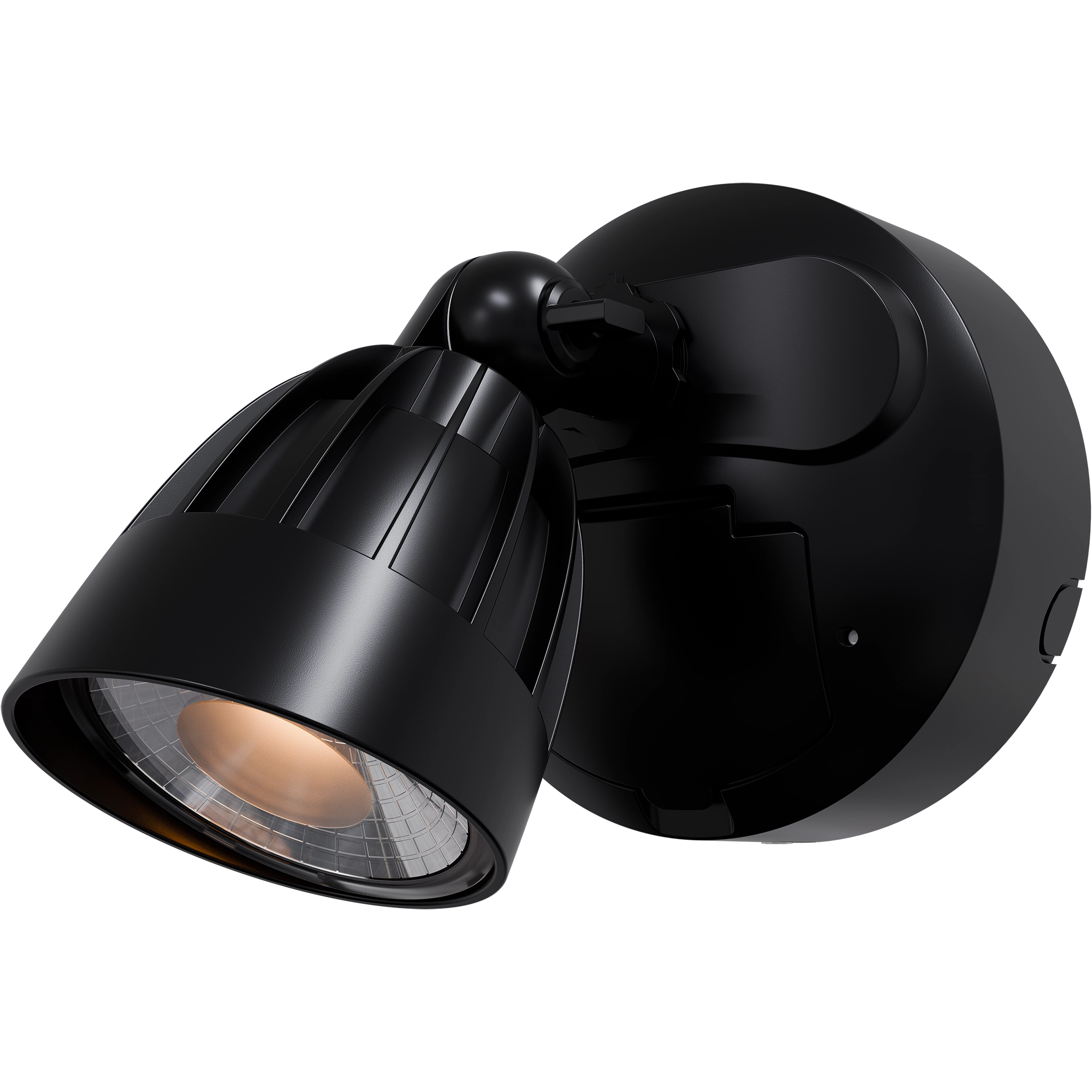 Nighthawk 1 Light Exterior Spotlight with Sensor 15W TRI Colour Black IP65