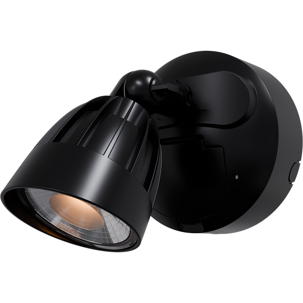 Nighthawk 1 Light Exterior Spotlight with Sensor 15W TRI Colour Black IP65