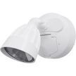Nighthawk 1 Light Exterior Spotlight with Sensor 15W TRI Colour White IP65