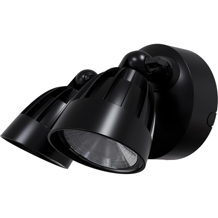 Nighthawk 2 Light Exterior Spotlight 30W TRI Colour Black IP65