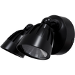 Nighthawk 2 Light Exterior Spotlight 30W TRI Colour Black IP65