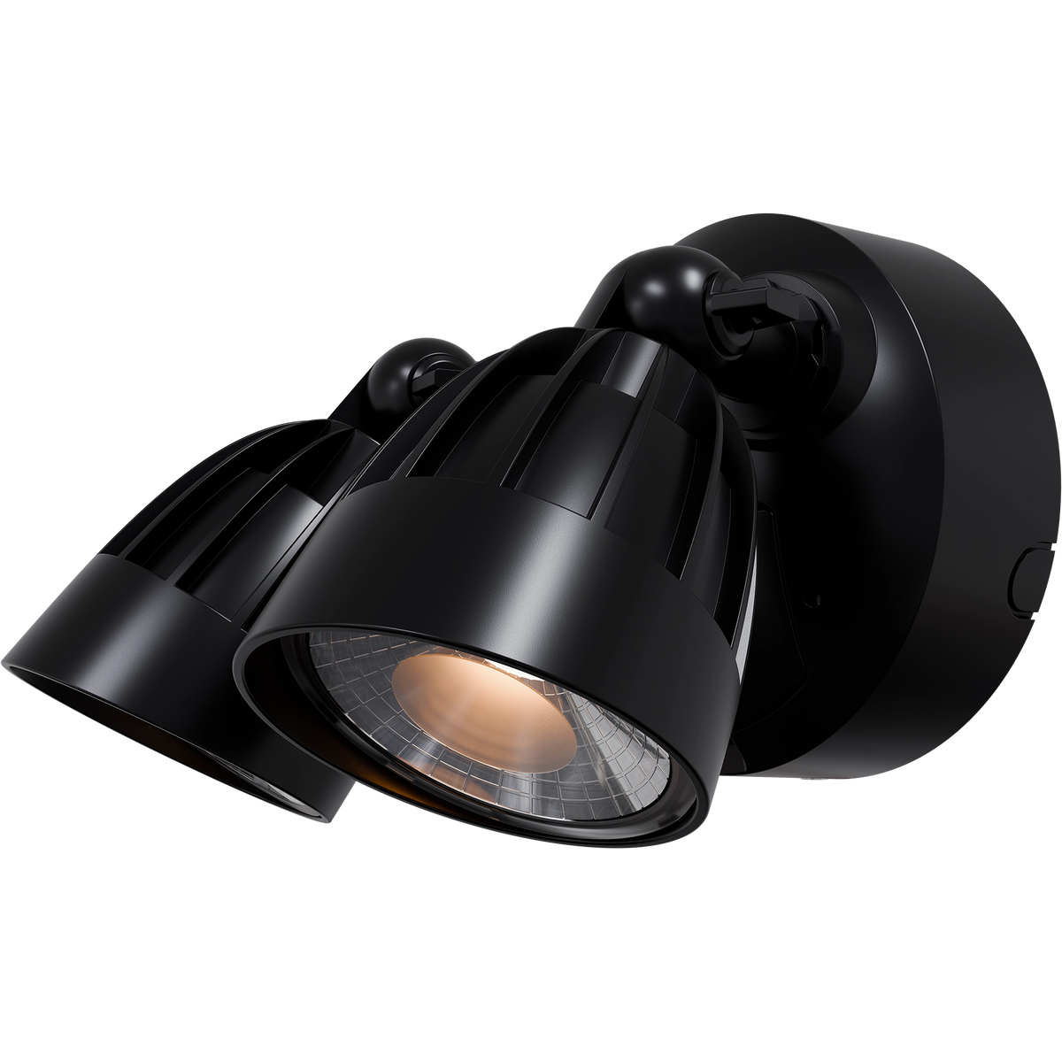 Nighthawk 2 Light Exterior Spotlight 30W TRI Colour Black IP65
