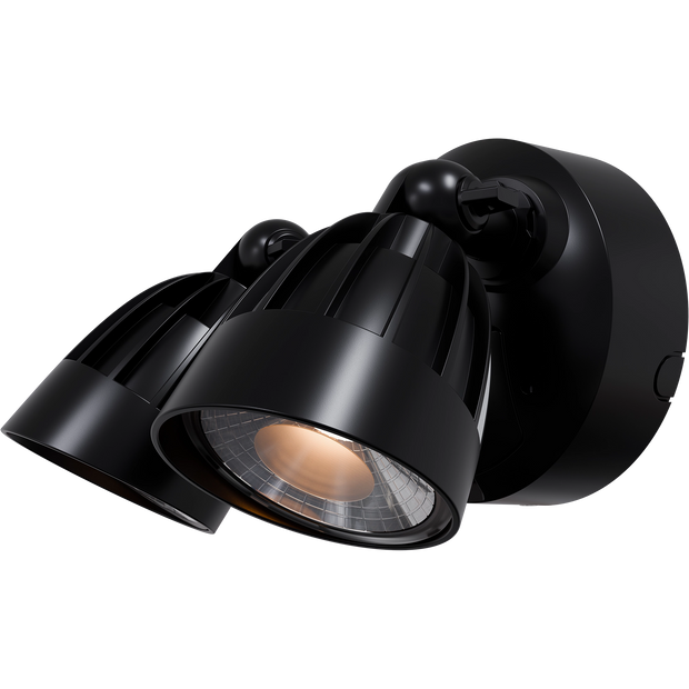 Nighthawk 2 Light Exterior Spotlight 30W TRI Colour Black IP65