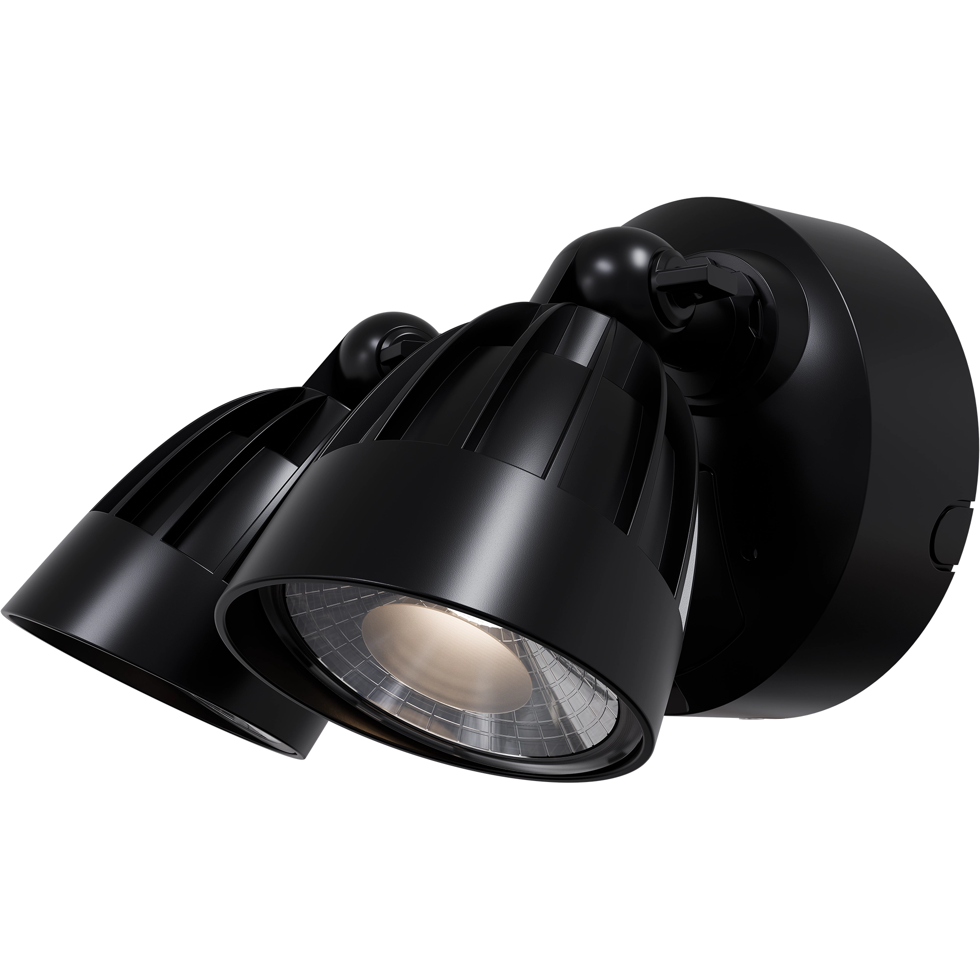 Nighthawk 2 Light Exterior Spotlight with Sensor 30W TRI Colour Black IP65