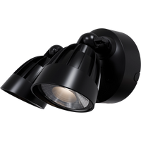 Thumbnail for Nighthawk 2 Light Exterior Spotlight with Sensor 30W TRI Colour Black IP65