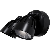 Thumbnail for Nighthawk 2 Light Exterior Spotlight with Sensor 30W TRI Colour Black IP65