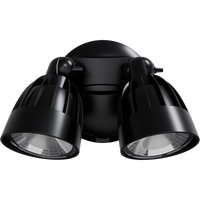 Thumbnail for Nighthawk 2 Light Exterior Spotlight with Sensor 30W TRI Colour Black IP65