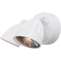 Thumbnail for Nighthawk 2 Light Exterior Spotlight with Sensor 30W TRI Colour White IP65