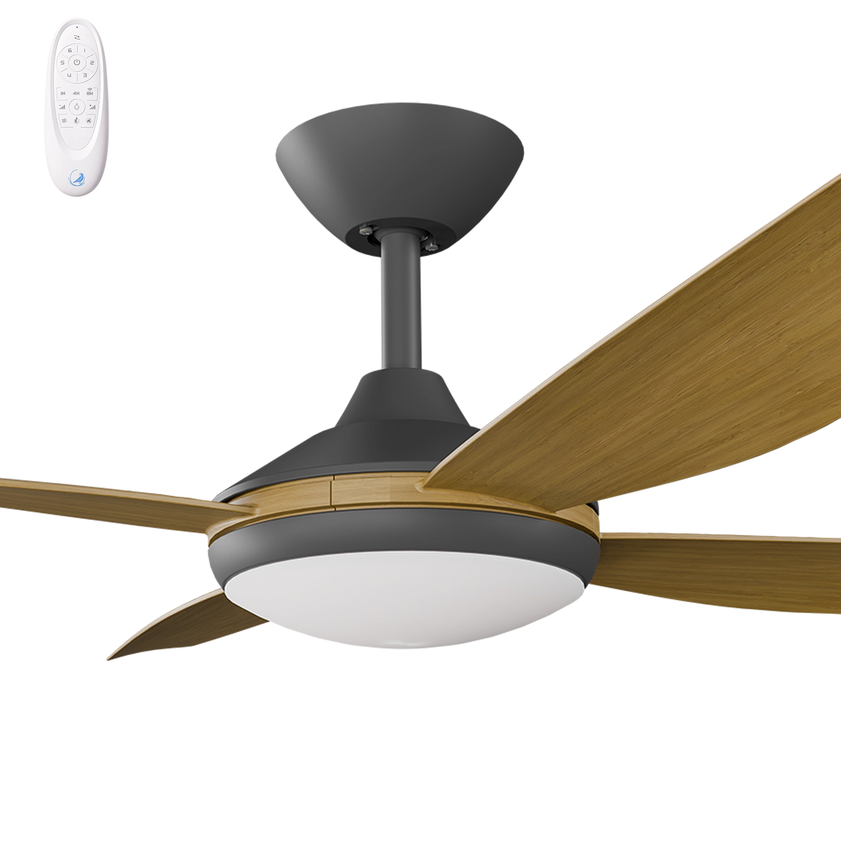 Calibo Vanga 48