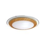 Astrid 16 Watt LED Oyster Light in Oak Trim