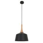 Nordic Small 1 Light Pendant Light in Black