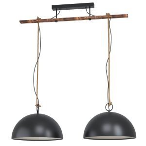 Hodsoll 2 Light Pendant Light in Black & Brown