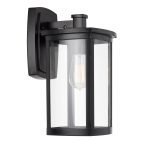 Reese Large IP44 Exterior Wall Light in Black